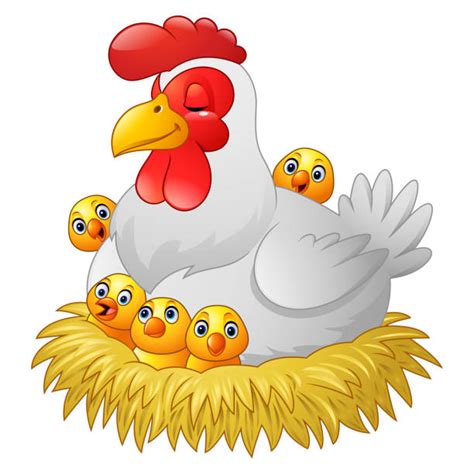 Best Hen Nest Illustrations Royalty Free Vector Graphics And Clip Art