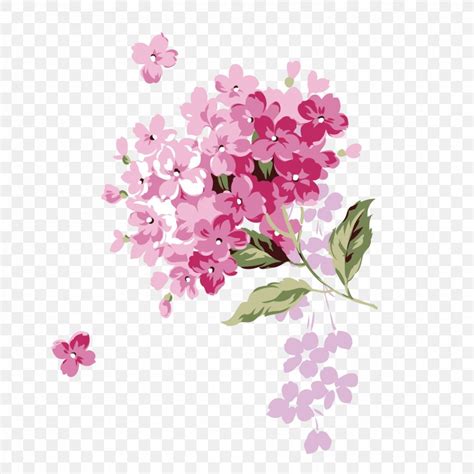 Flower Adobe Illustrator Download Png 1875x1875px Flower Blossom