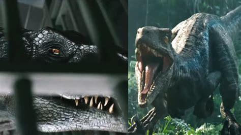 Jurassic World Fallen Kingdom Final Trailer Teases Blue Vs Indoraptor