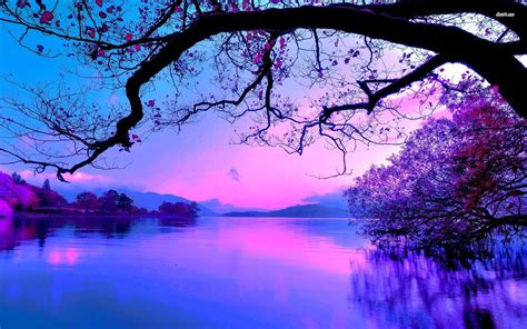 Purple Sunset Maf04 Flickr