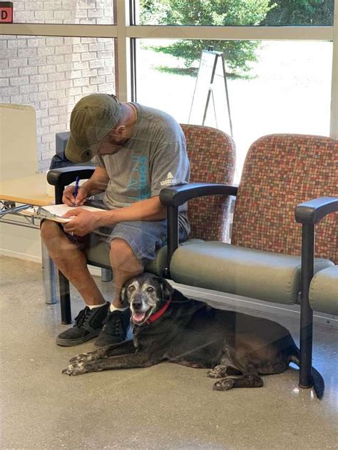 Community Rises To Help The Homeless Man And His Dog Reunite After