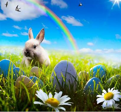 Easter Spring Sunshine Rainbow Flowers Sky Rabbit