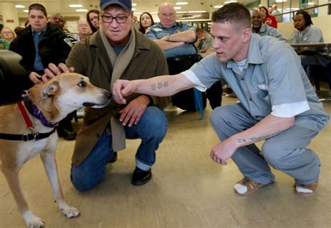 The voters passed a proposition to clamp down on. Stray Rescue sends dogs to Pacific prison to learn obedience, socialization from inmates | Metro ...