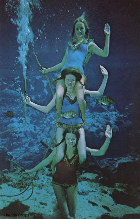 Florida S Weeki Wachee Spring Wonderful Color Photos Capture Amazing Underwater Performances