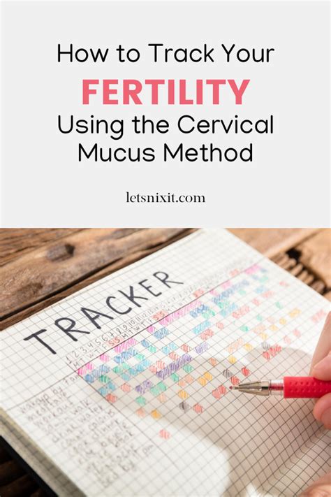 Tracking Your Fertility With The Cervical Mucus Method Artofit