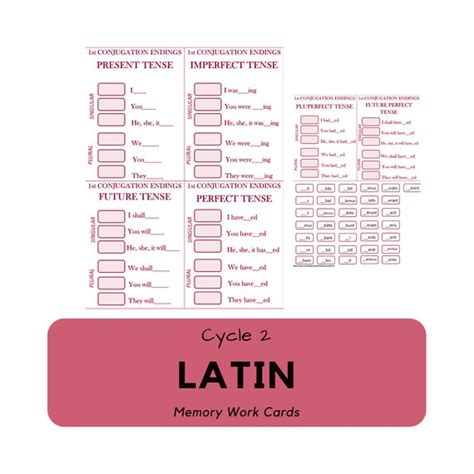latin memory work cards cycle 2 digital download etsy