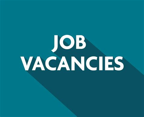 Vacancies Video Editors Animation And Motion Graphics Designers And