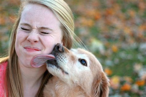Perché è importante abituare il cucciolo a sporcare fuori? Si fa leccare dal cane e rischia di morire | Blitz quotidiano