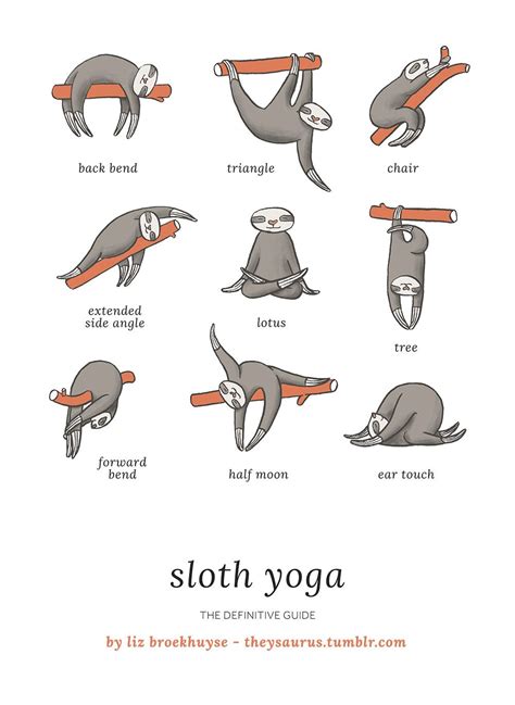 Theysaurus Sloth Yoga The Definitive Guide If You Likey