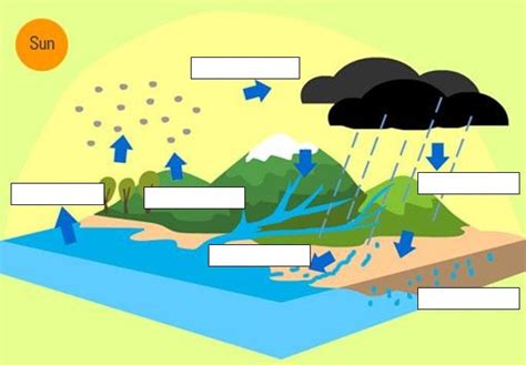 The Hydrologic Water Cycle Diagram Quizlet