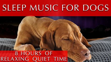 Dog Sleep Music 8 Hours Relaxing Quiet Time Youtube