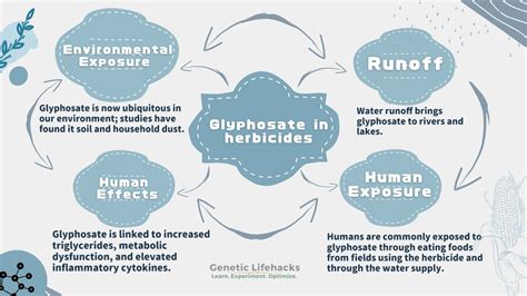 Glyphosate Exposure Genetics And The Impact On Our Health Genetic