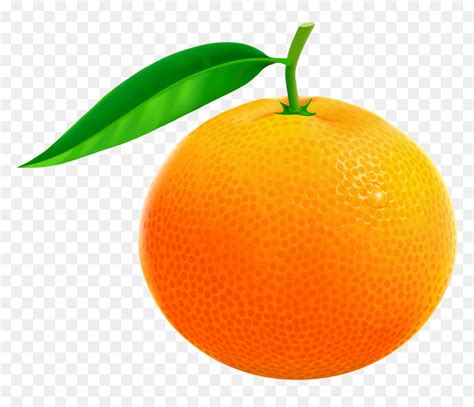 Orange Fruit Clipart Orange Images Clip Art Hd Png Download Vhv