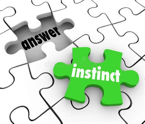 Instinct Puzzle Piece Find Answer Solve Puzzle Gut Feeling Solution