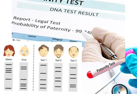 Paternity Testing Statistics Gambaran