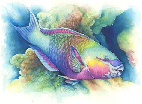 Sea Life Paintings By Famous Artists Under The Ocean Drawing At