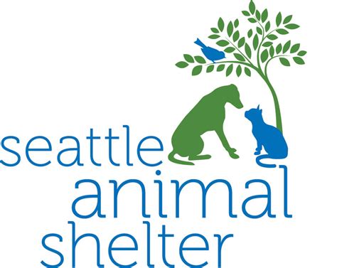 Pets For Adoption At Seattle Animal Shelter In Seattle Wa Petfinder