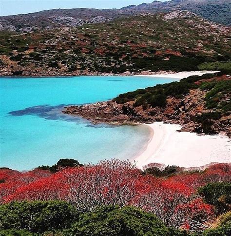 Nationalpark Asinara Urlaub In Sardinien Hotel Cala Rosa