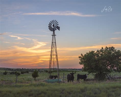 Windmill Sunset With Cattle Dewey County Oklahoma Flickr