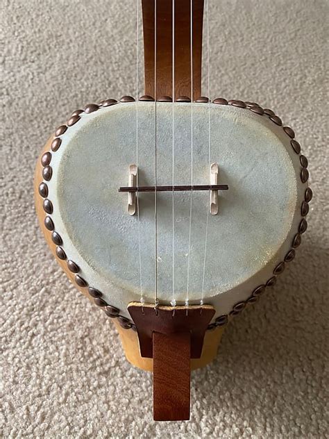 Gourd 5 String Fretless Banjo By Carver Banjos A Solid Reverb