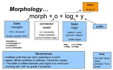 Part Of Pure Linguistics Morphology