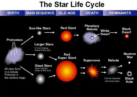 Space Nasa Star Life Cycle Star Science Life Cycles