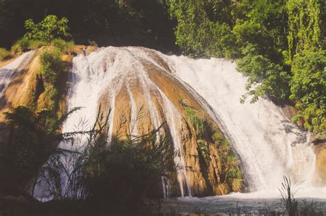 Waterfalls Of Cascadas De Agua Azul Chiapas Mexico Stock Image Image