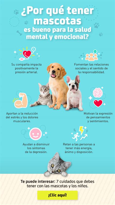 Tener Mascotas Es Bueno Para La Salud Mental Y Emocional Seguros Sura