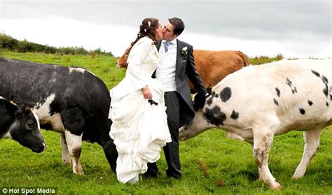 I Moo Couple S Cow Themed Wedding Sees Bride Arrive On A Tractor Photographs With A Herd And