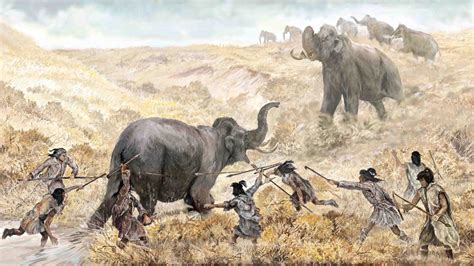 Humans Hunted Mastodon In Florida Nearly 15000 Years Ago