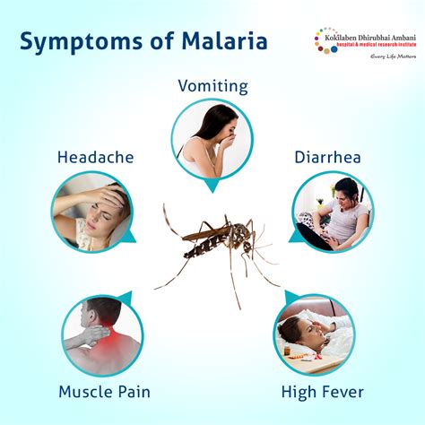 Symptoms Of Malaria Health Tips From Kokilaben Hospital