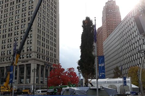 Detroits Holiday Tree Arrives In Campus Martius Curbed Detroit