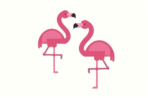 Flamingo Vector Illustration In Flat By Sviatlana St On Creativemarket