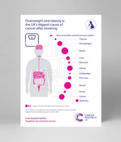 Obesity And Cancer Types Infographic Publications
