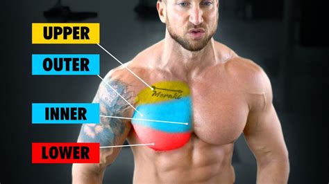 Total Chest Workout Inner Outer Upper Lower Chest Youtube
