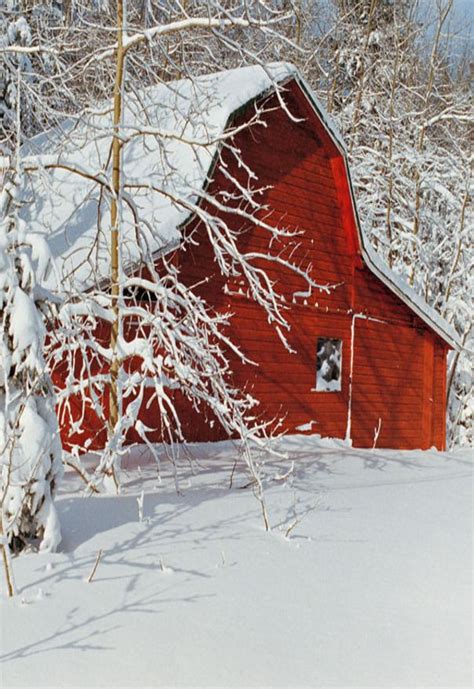 Barn In Winter Snow Old Barns Christmas Card Images Winter Scenes