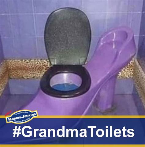 8 Toilets Your Grandma Would Like Morris Jenkins