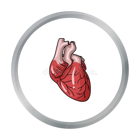 Human Heart Icon In Cartoon Style Isolated On White Background Human