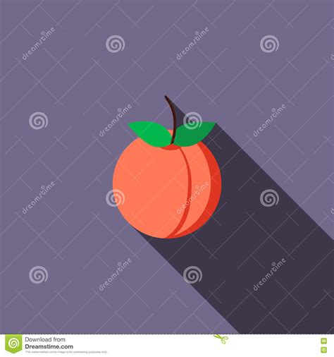 Peach Icon Flat Style Stock Vector Illustration Of Modern 79971932