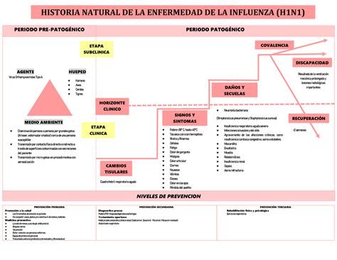 Esquema De La Historia Natural De La Enfermedad Historia Natural De La Enfermedad De La