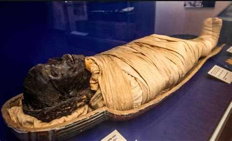 New Mummy Room Ancient Egyptian Artifacts To Be Installed At Britain S World Museum Photos