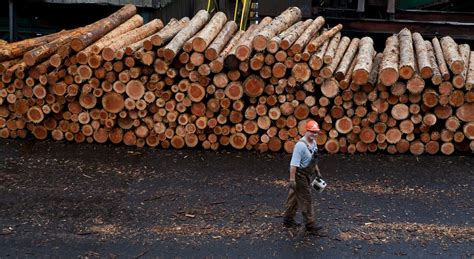 Stimson Lumber Announces Its Pulling Timber Jobs Out Of Oregon In