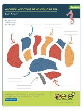 Hippocampus Brain Diagram Blank | Brain diagram, Hippocampus brain