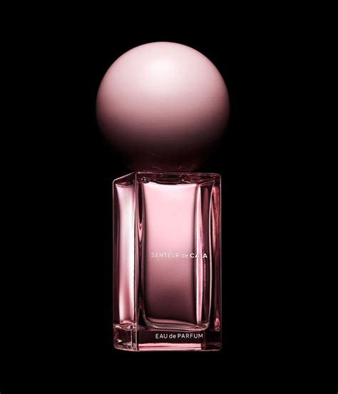 Senteur de Caia Caia perfume - a fragrance for women 2019