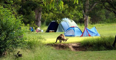 Four Best Places To Go Camping In Australia Western Advocate