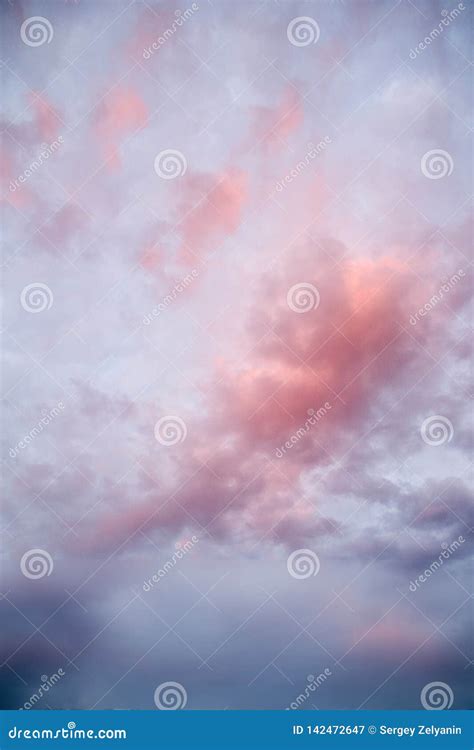 Pink Clouds At Sunset After A Thunderstorm Stock Image Image Of