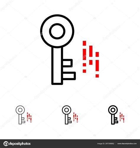 Internet Security Key Bold And Thin Black Line Icon Set Stock Vector