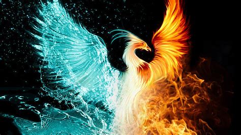 4k Phoenix Bird Wallpapers Top Free 4k Phoenix Bird Backgrounds