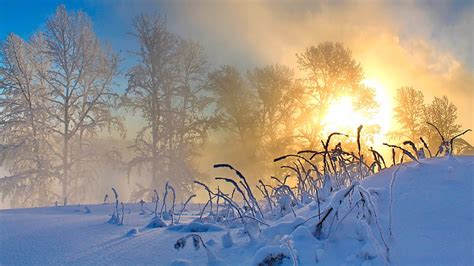 Foggy Winter Morning Snow Sun Nature Winter Hd Wallpaper Peakpx