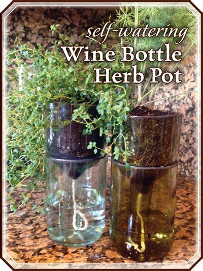 So You Think You Can Cook Taste These Tips Herb Pots Wine Bottle
